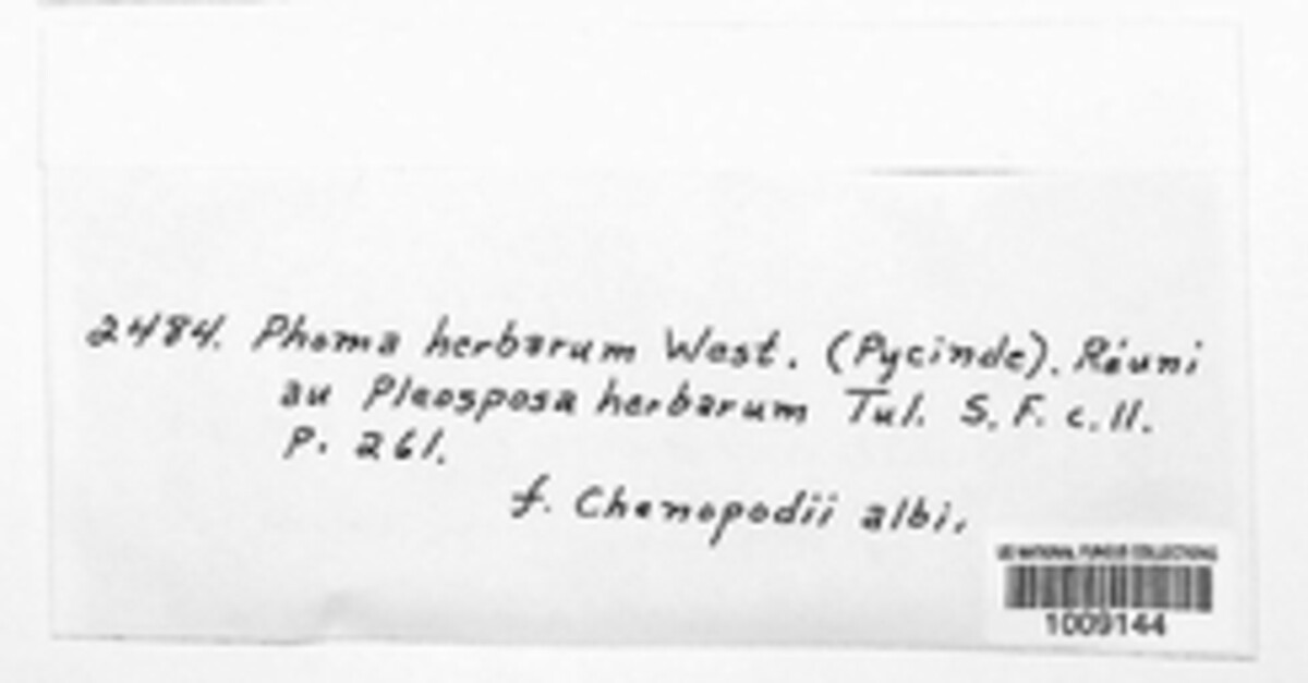 Phoma herbarum f. chenopodii-albi image